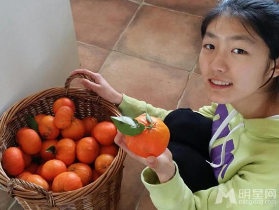 “元芳”张子健14岁漂亮女儿近照曝光_图-2