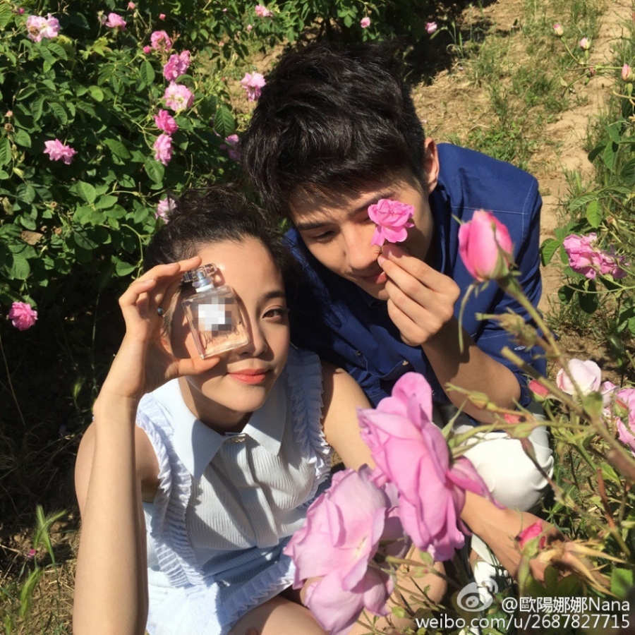 欧阳娜娜刘昊然甜蜜合影漫步自然花海_图-1