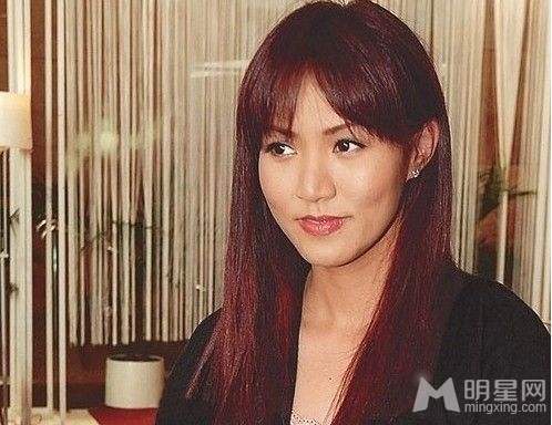 香港娱乐圈阔太身家排行梁洛施身居第一_图-8