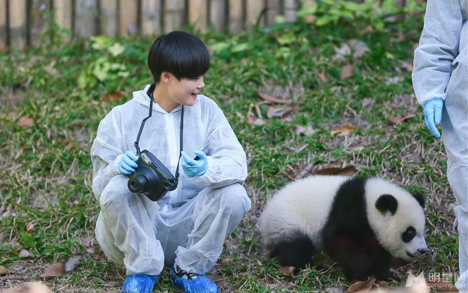 李宇春和熊猫比萌奇妙的朋友图集_图-8