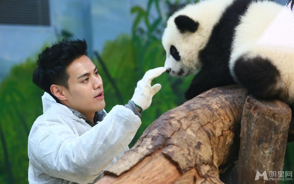 李宇春和熊猫比萌奇妙的朋友图集_图-7
