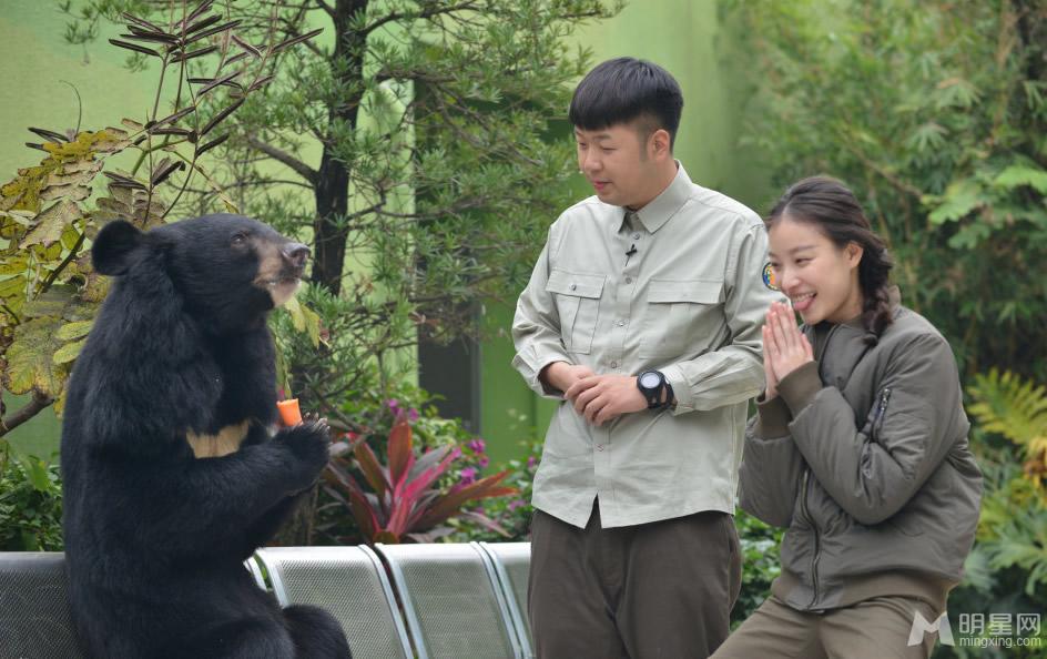 李宇春和熊猫比萌奇妙的朋友图集_图-2