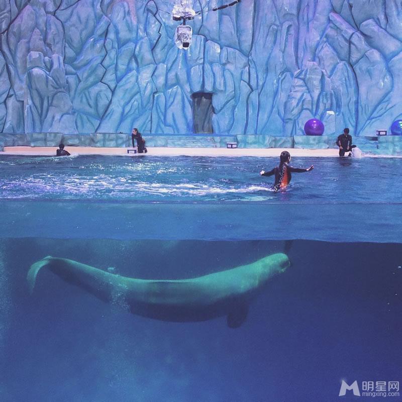倪妮《奇妙的朋友》精选剧照笨笨的狗熊和好奇的倪妮_图-5