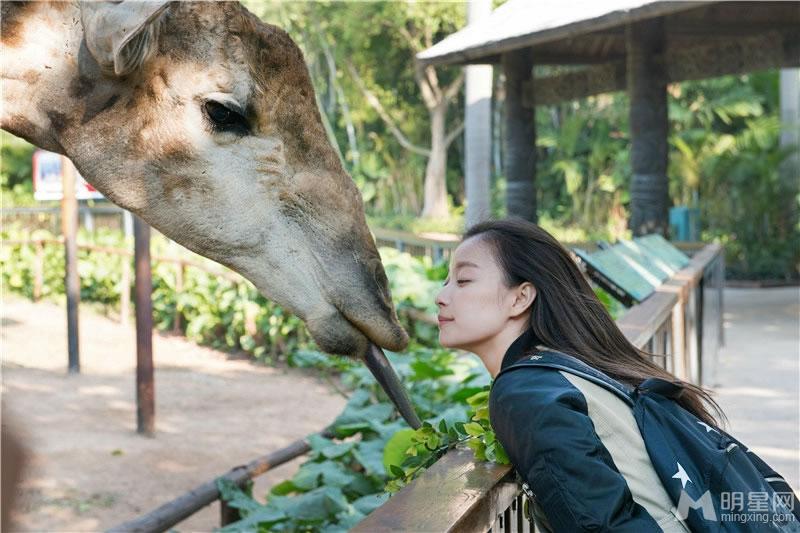 倪妮《奇妙的朋友》精选剧照热情的大象和惊吓的倪妮_图-8