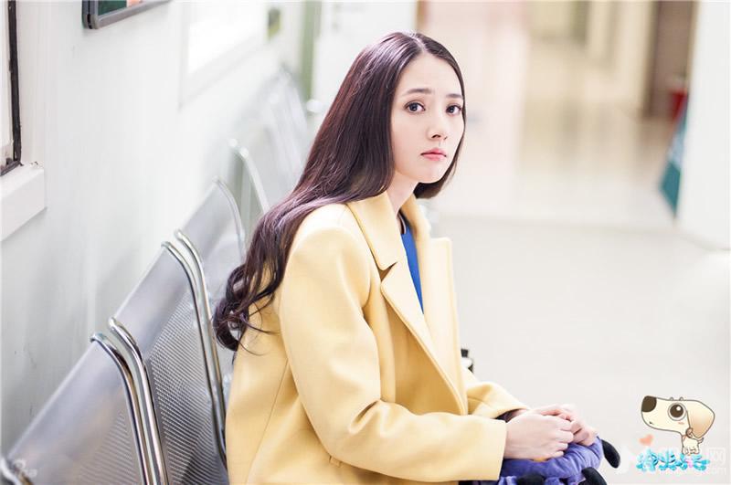 《神犬小七》曝剧照郭碧婷多重搭配任你挑选_图-5
