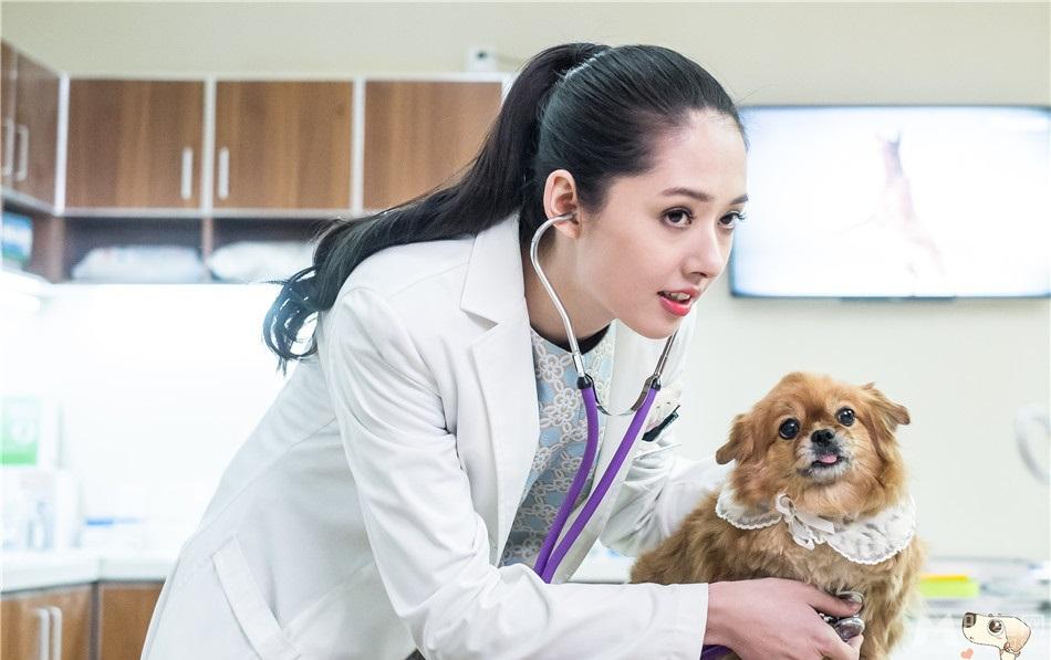 《神犬小七》郭碧婷剧照堪称完美女神_图-6