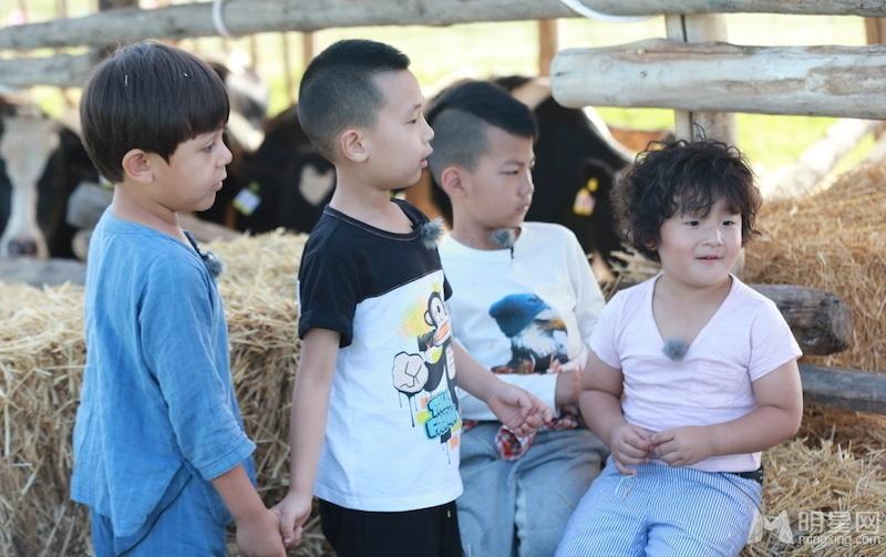 杉菜夏天去哪了？爸爸3萌娃F4酷炫图_图-8