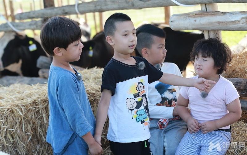 杉菜夏天去哪了？爸爸3萌娃F4酷炫图_图-9