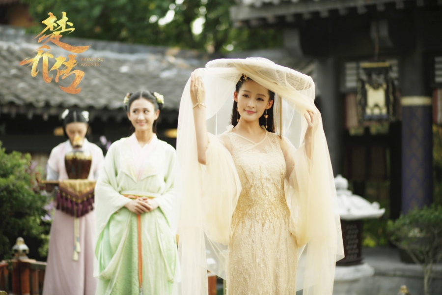 《楚乔传》李沁饰演西魏公主元淳_图-5