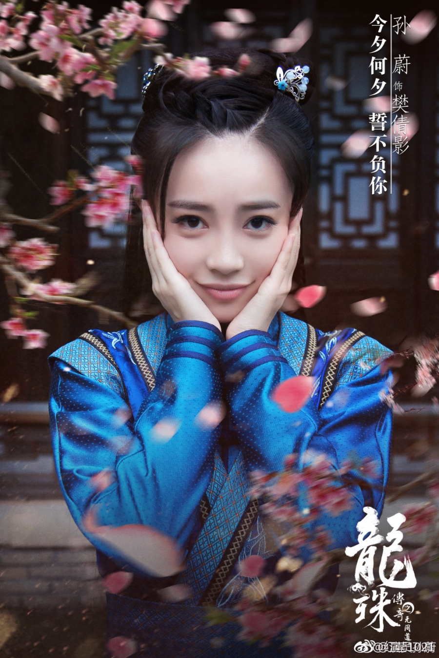 《龙珠传奇》孙蔚剧照饰演樊倩影_图-9
