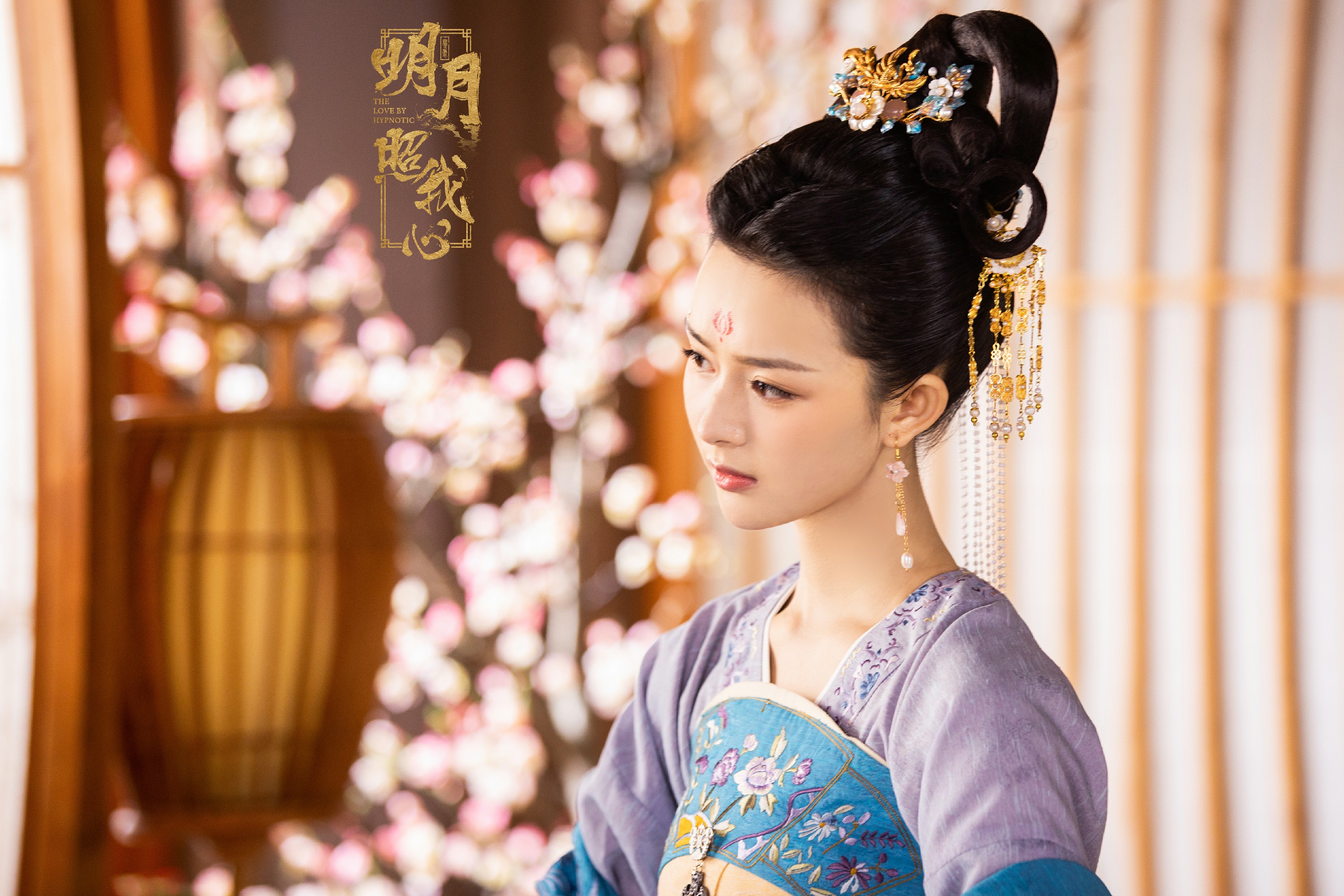 廖慧佳《明月照我心》剧照饰演康乐公主_图-5